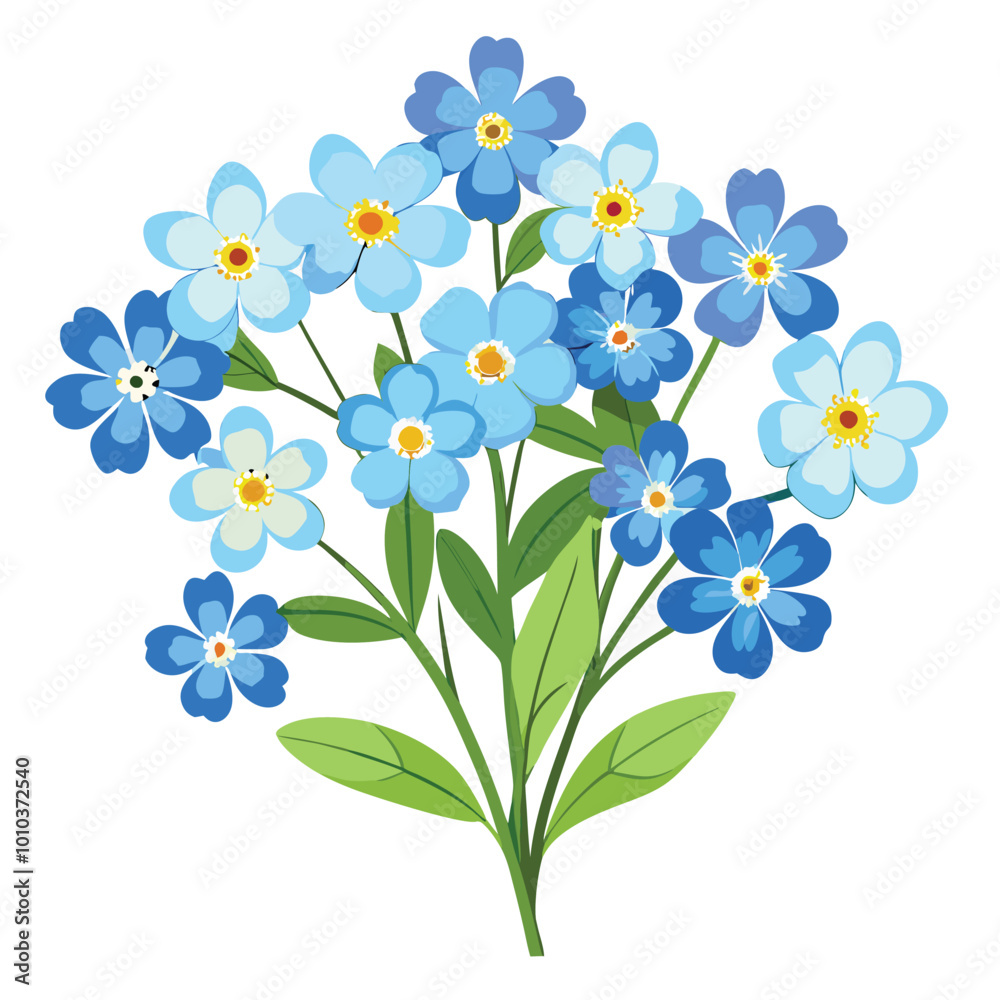 Floral Bunch of Forget Me Not Vector Illustration on White Background Floral Bunch of Forget Me Not Vector Illustration on White Background