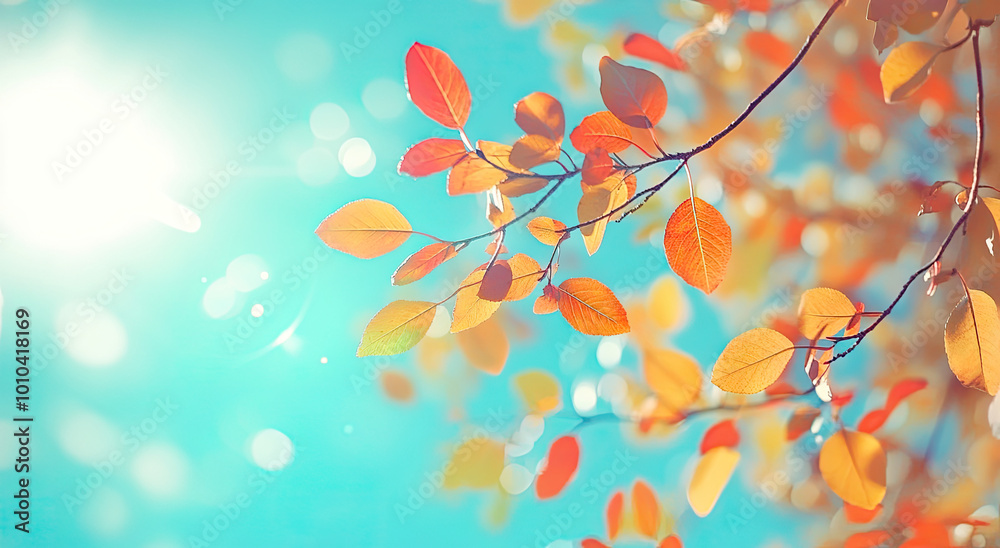 Autumn background with colorful leaves on tree branches against a blue sky on a sunny day, an autumn nature concept Autumn background with colorful leaves on tree branches against a blue sky on a sunny day, an autumn nature concept