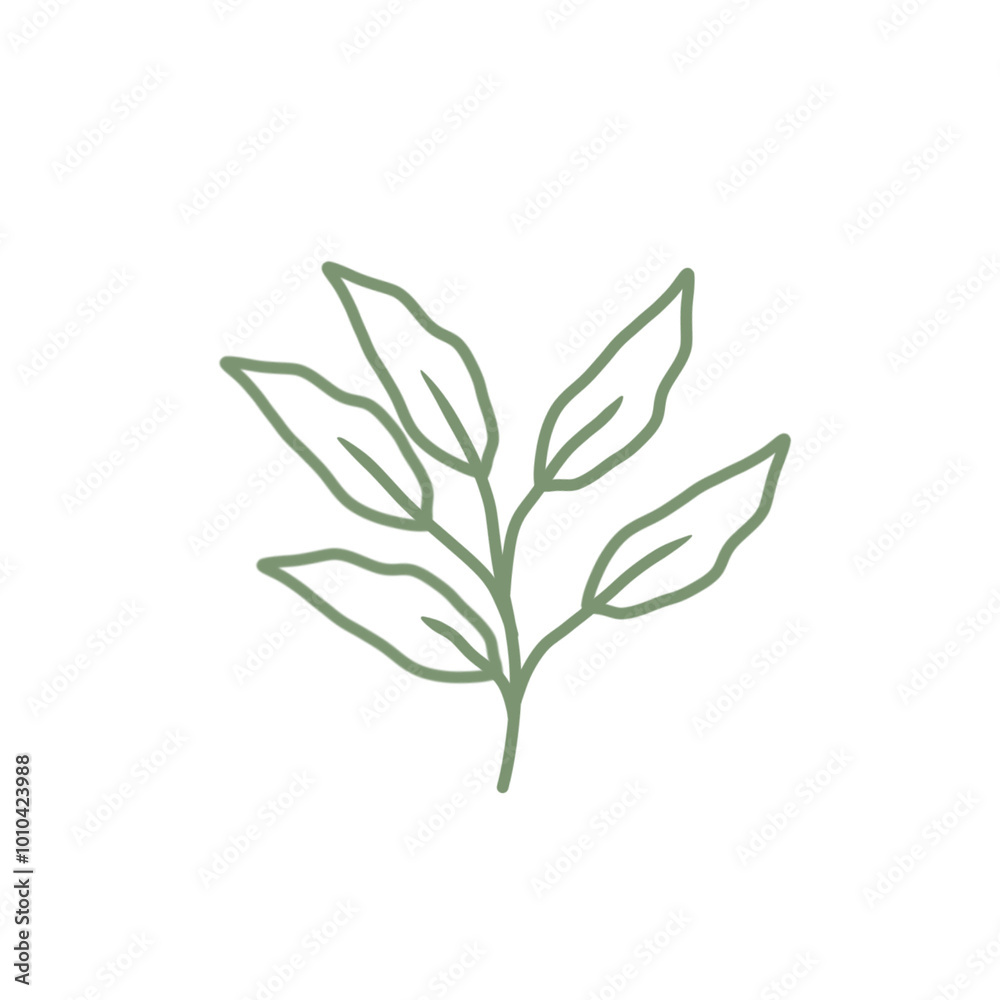 Colored line art leaf illustration Colored line art leaf illustration