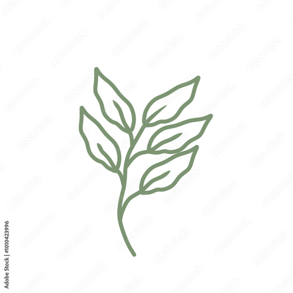 Colored line art leaf illustration Colored line art leaf illustration