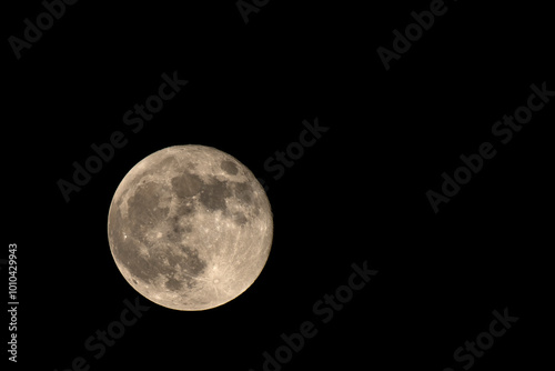 Close-up of Full Harvest Moon in September 2024 from Kolkata photo