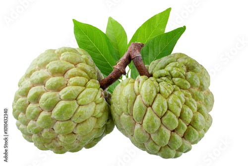 custard apple fruit isolated on a white background photo