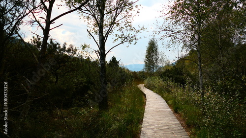 Wanderwege durch das Pürgschachen-Moos photo