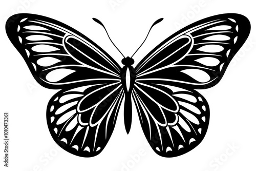 black and white butterfly, silhouette vector illustration