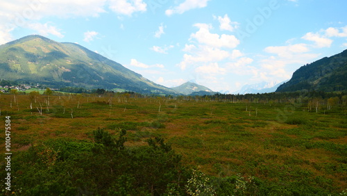 Blick über das Pürgschachen-Moos photo