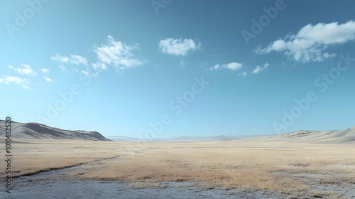 Expansive Dry Grasslands under a Blue Sky with White Clouds