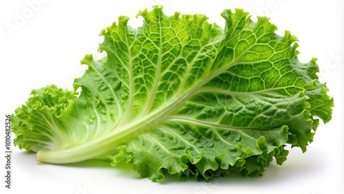 Extreme close-up of salad leaf lettuce isolated on white background with clipping path