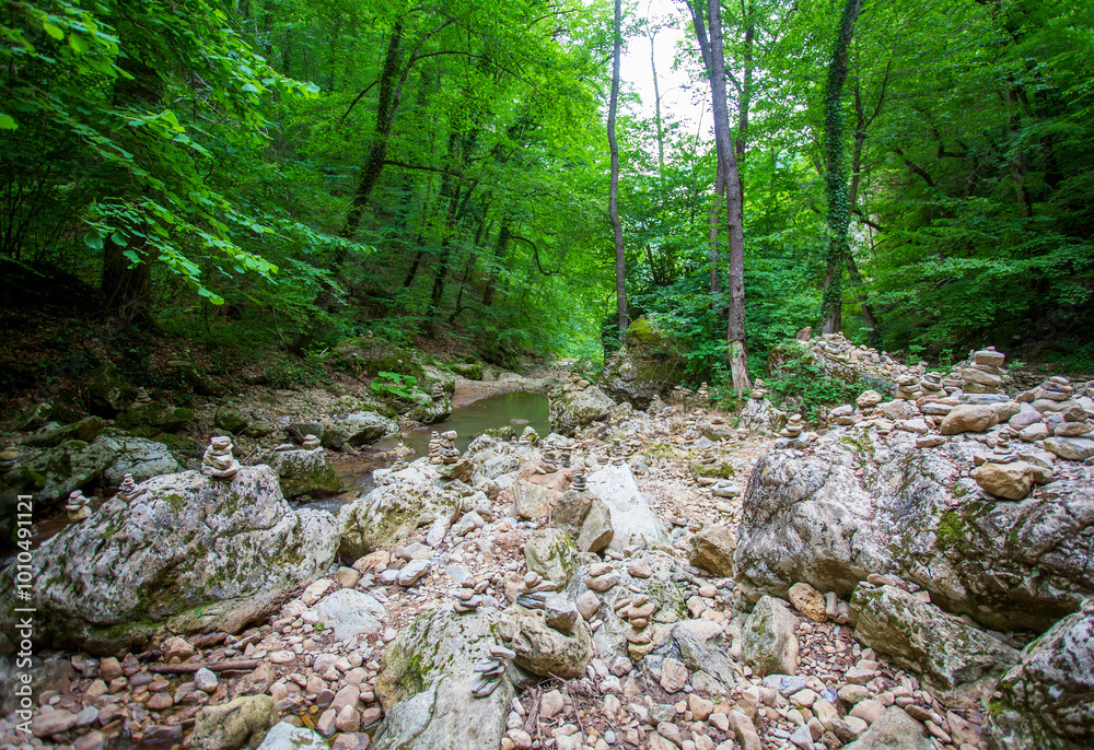 shallow mountain river, staritsa and nature walks, sunny day shallow mountain river, staritsa and nature walks, sunny day