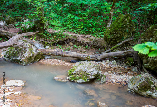 shallow mountain river, staritsa and nature walks, sunny day photo