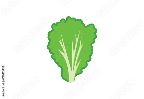 Fresh Green Lettuce logo design, leaves green salad, Vector design concept