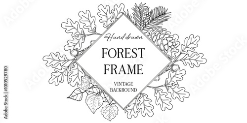 Hand drawn autumn botanical frame with falling leaves. Vector illustration in sketch style isolated on white. Realistic forest design element. Space for text