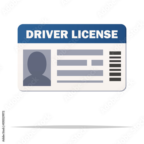 Driver license ID card vector isolated illustration