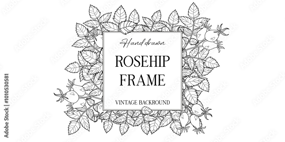 Hand drawn autumn botanical frame with rosehip leaves. Vector illustration in sketch style isolated on white. Realistic rosehip design element. Space for text Hand drawn autumn botanical frame with rosehip leaves. Vector illustration in sketch style isolated on white. Realistic rosehip design element. Space for text