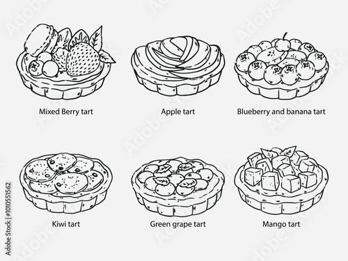 Collection of outline drawing mixed fruit tart vector illustration
