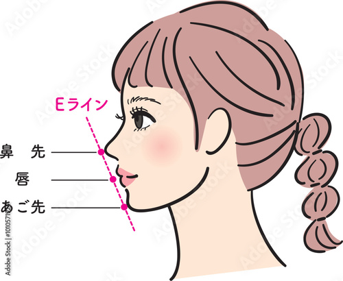 女性の横顔　Eライン