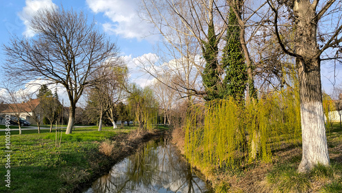 spring in rural village Backi Petrovac, Vojvodina photo