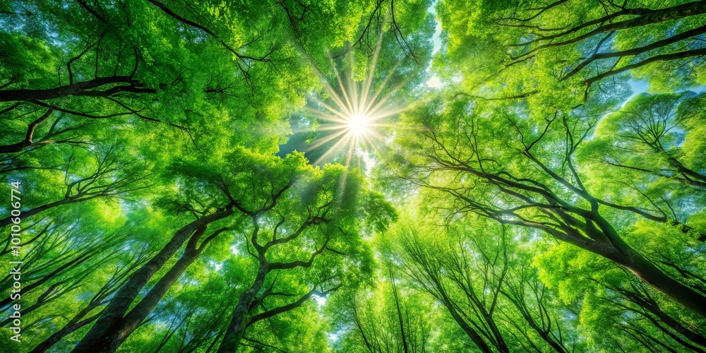 Φωτογραφία A symphony of emerald leaves, branches reaching skyward, sunlight filtering through a verdant canopy, a breathtaking view of nature's embrace