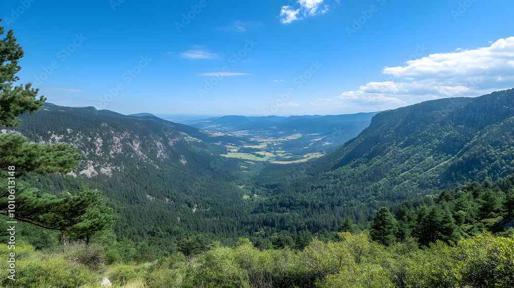 Mountain Valley Landscape with Blue Sky and Clouds Mountain Valley Landscape with Blue Sky and Clouds