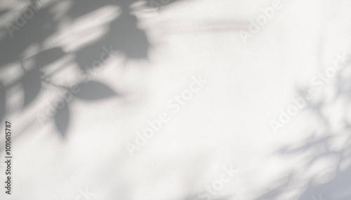 Abstract silhouette shadow white background of natural leaves tree branch falling on wall. Transparent blurry shadows leaf in morning sun light.