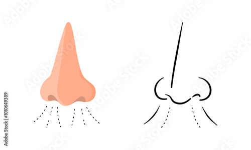 Isolated human nose in flat design and outline drawing style.