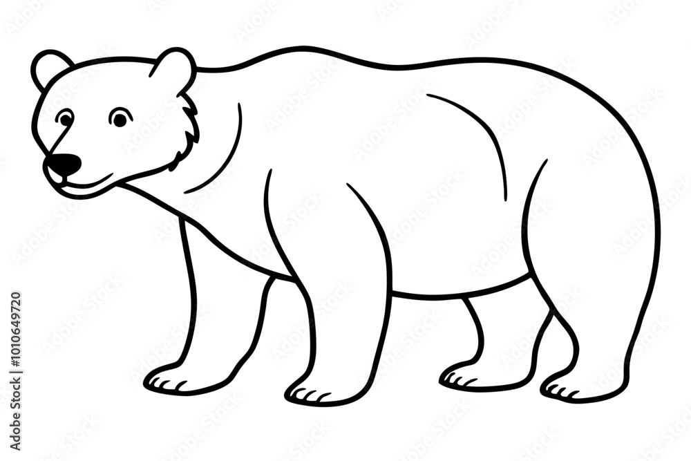 Bear, on white background Bear, on white background
