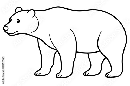 Bear, on white background