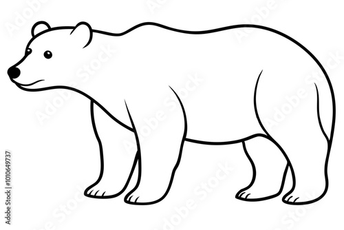 silhouette vector Bear, on white background