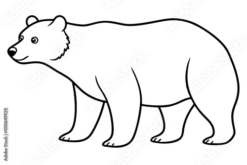 bear vector