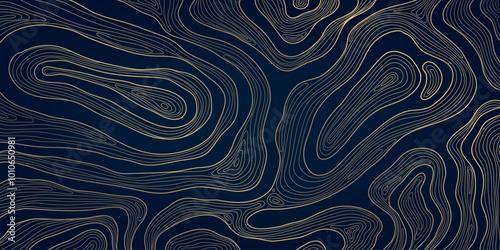 Vector line topography map pattern, line gold on dark contour texture, wave geographic background, wood organic illustration.