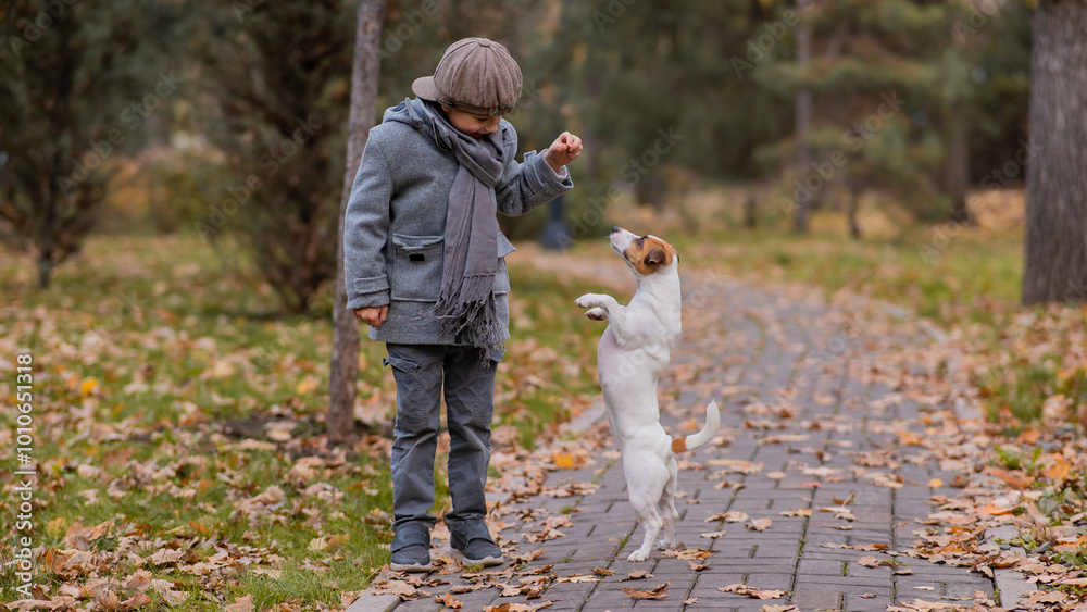 Fototapeta premium Caucasian boy playing with a dog for a walk in the autumn park. 