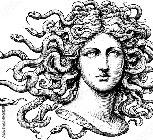 Medusa Gorgon antique bust, graphic