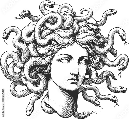 Medusa Gorgon antique bust, graphic