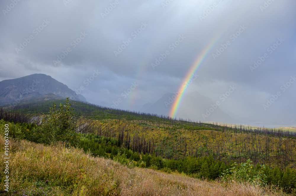 A rainbow at sunrise in Glacier National Park A rainbow at sunrise in Glacier National Park