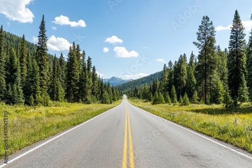 Tranquil Journey Through Nature's Contrast - Scenic Road with Pine Forest and Open Meadow