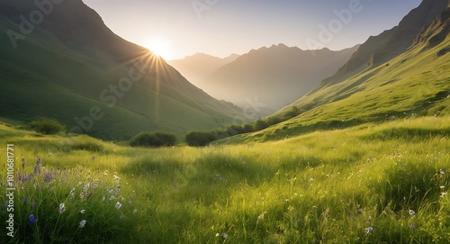 A serene mountain valley unfolds against a backdrop of emerald hills, where greenery sprawls in lush abundance. Landscape Nature Background