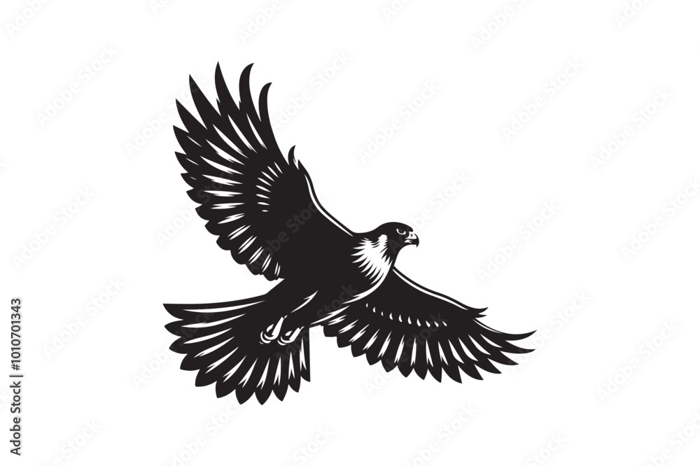 Obraz premium Falcon Silhouette vector illustration, Falcon Silhouette vector