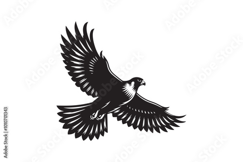 Falcon Silhouette vector illustration, Falcon Silhouette vector  photo