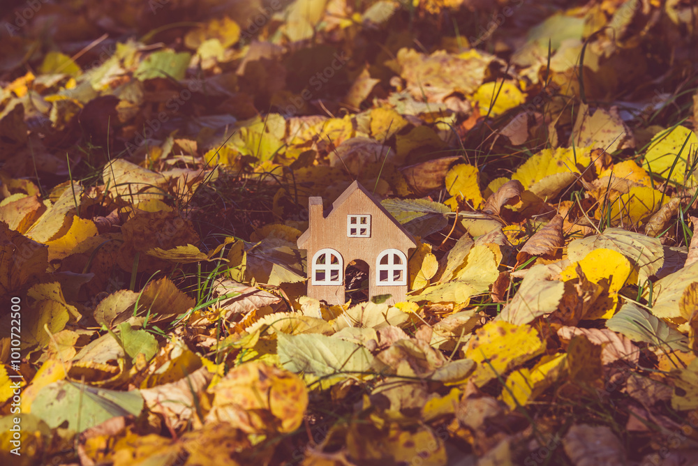 Φωτογραφία The symbol of the house stands among the fallen autumn leaves