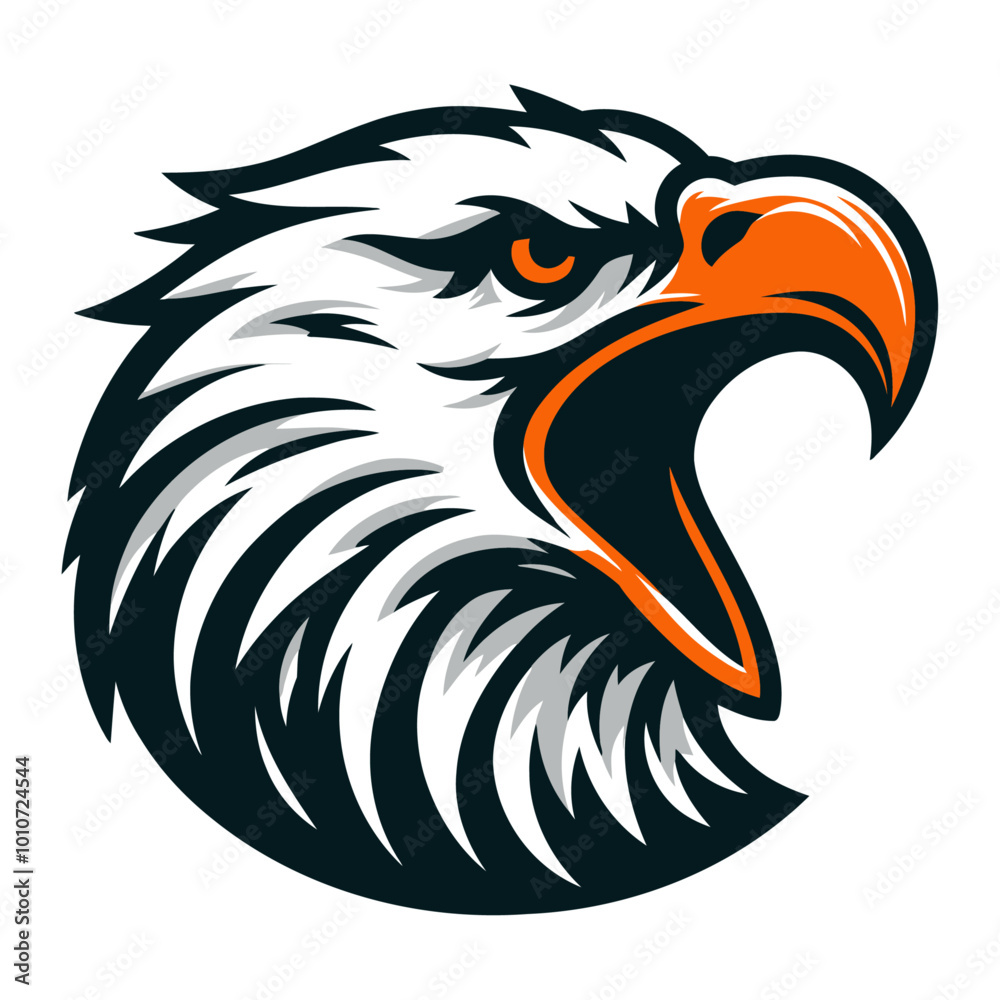 Bald eagle vector and illustration Bald eagle vector and illustration