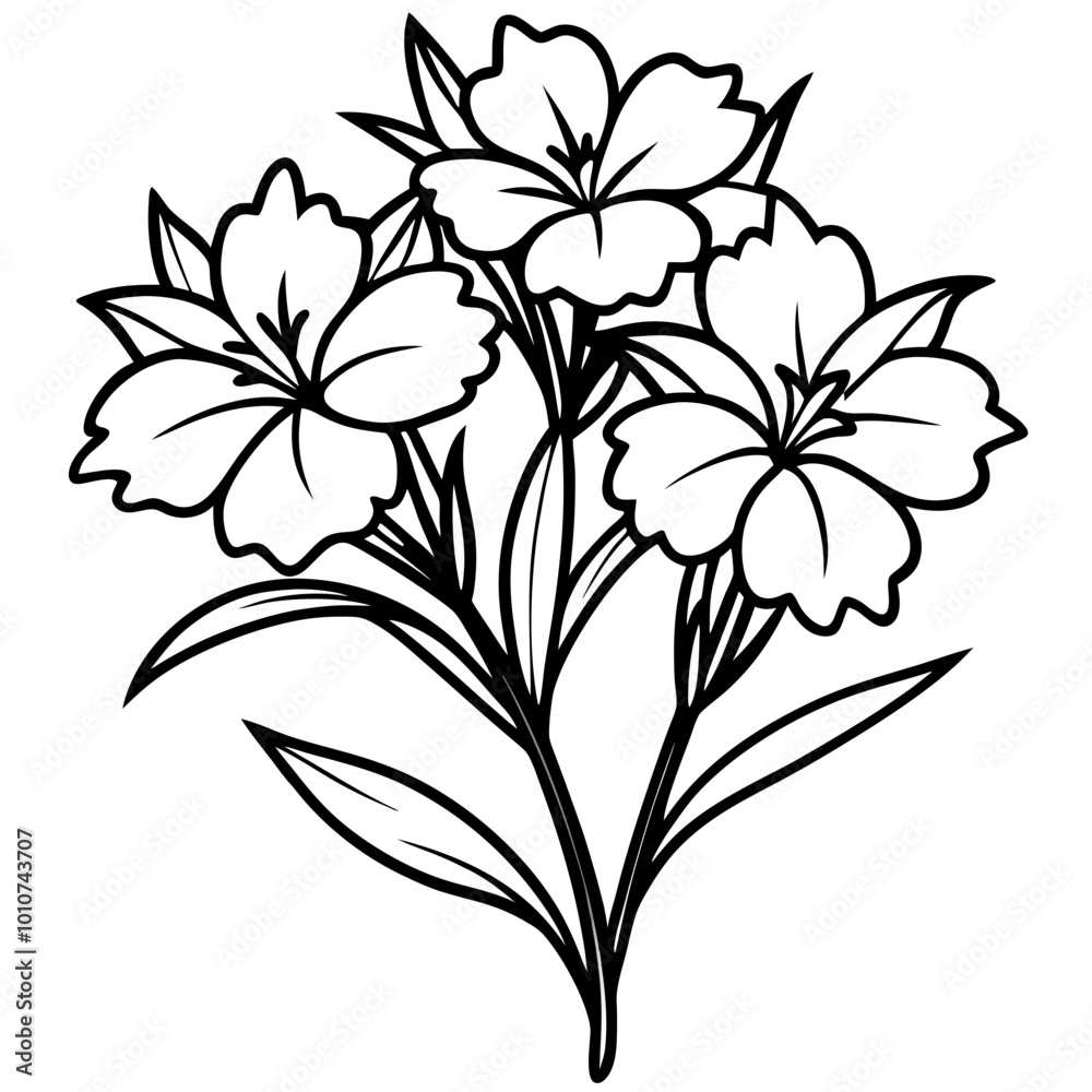 Delightful Vector Art Featuring a Lush Cluster of Sweet William Flowers
Delightful Vector Art Featuring a Lush Cluster of Sweet William Flowers