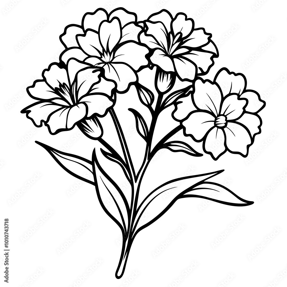 Charming Cluster of Sweet William Flowers in a Colorful Vector Illustration
Charming Cluster of Sweet William Flowers in a Colorful Vector Illustration
