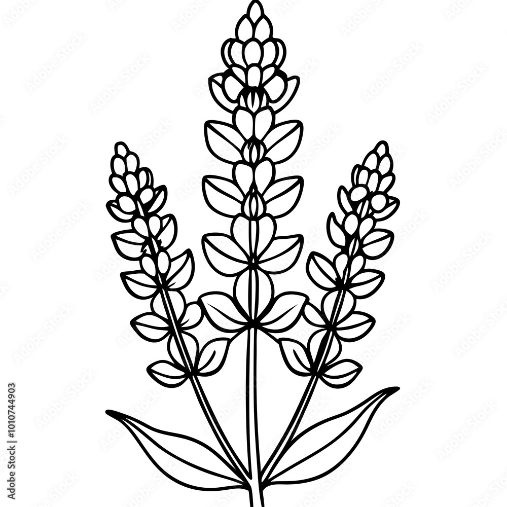 Exquisite Tall Lupine Flowers Nestled in Mulch Vector Illustration Celebrating Natural Splendor
Exquisite Tall Lupine Flowers Nestled in Mulch Vector Illustration Celebrating Natural Splendor