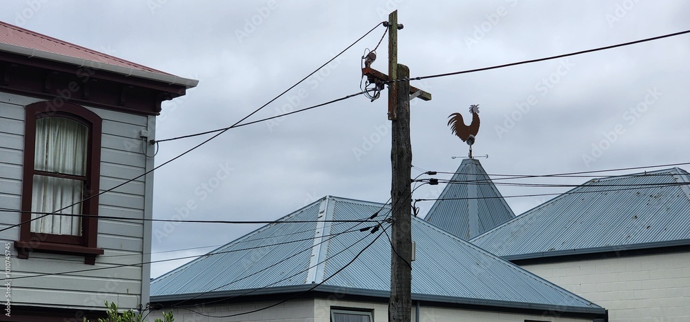 Quaint suburban roofs and powerlines with rooster weathervane. Quaint suburban roofs and powerlines with rooster weathervane.