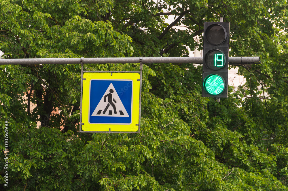 Εκτύπωση καμβά A green traffic light is on a street with a pedestrian crossing sign