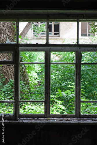 Smashed glass Window with old wooden frame. old window. finely broken glass. old house  retro. cracked window frame. cracked old paint  pieces of glass. close-up  space for text. horror  halloween