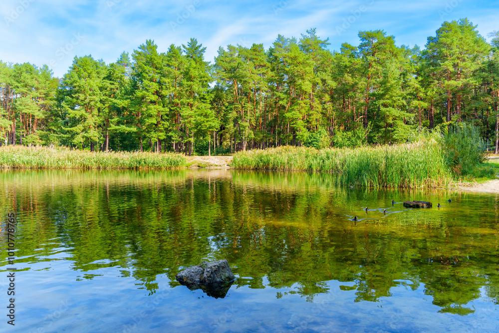 Obraz premium Serene Lake Surrounded by Lush Green Trees