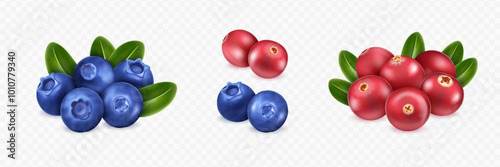 Realistic cranberry and blueberry set with green leaves on transparent background. Various berry compositions for design mockup. 3D realistic vector illustration.