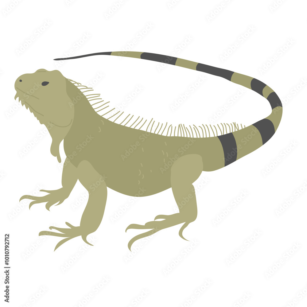 Fototapeta premium Iguana Pet Element Illustration