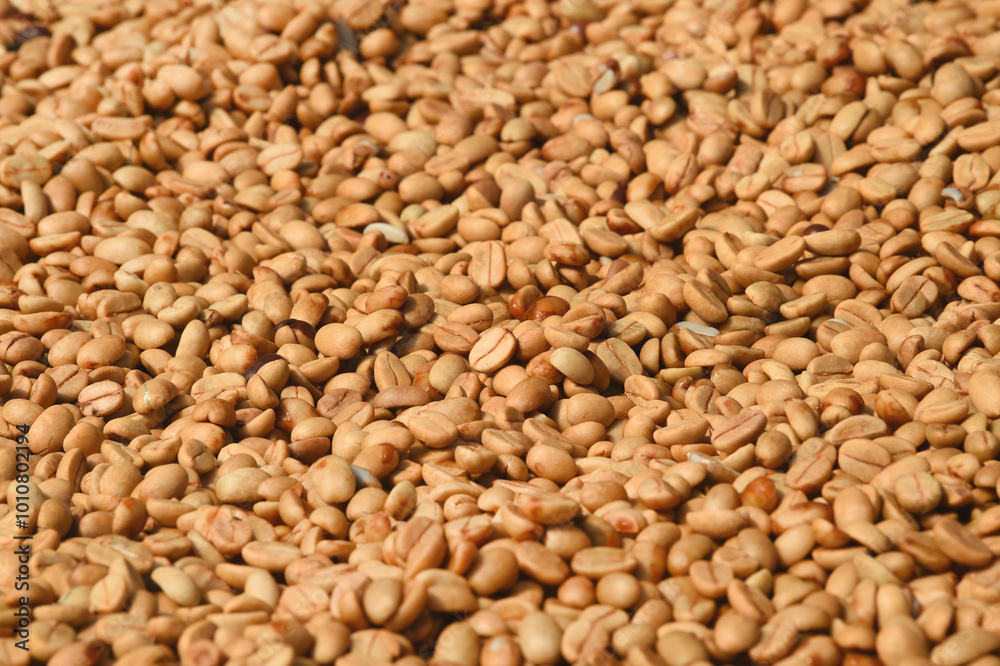 Close up of coffee beans for background Close up of coffee beans for background