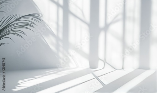 Blurred overlay effect for photo and mockups. Wall texture with organic drop diagonal shadow and rays of light on a white wall. shadows for natural light